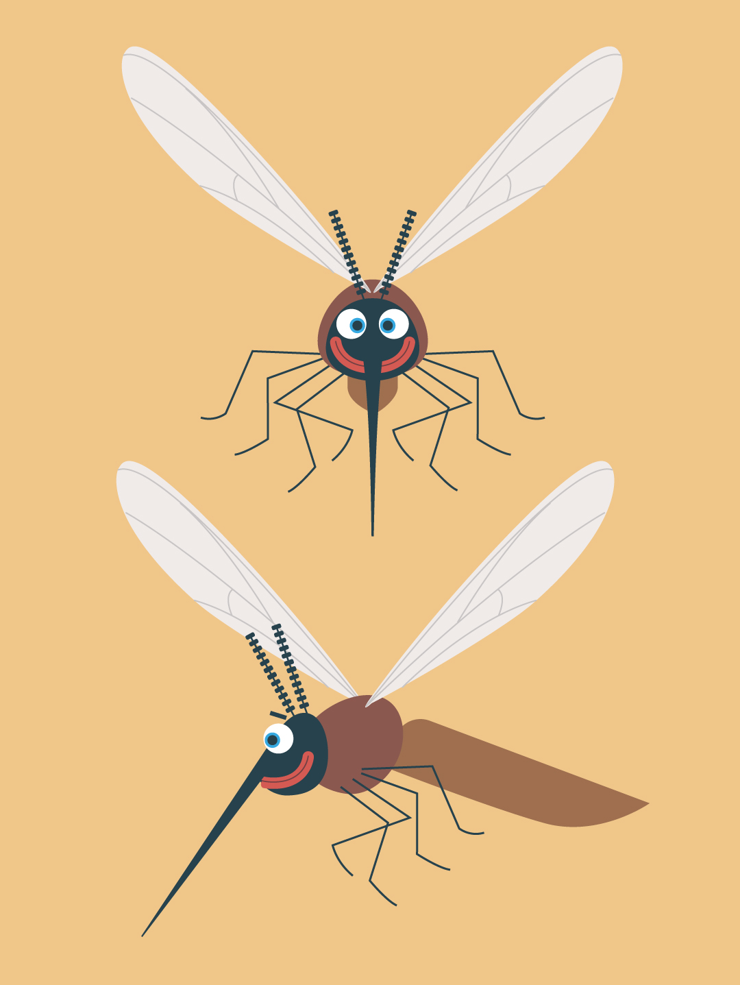 illustration d'un moustique